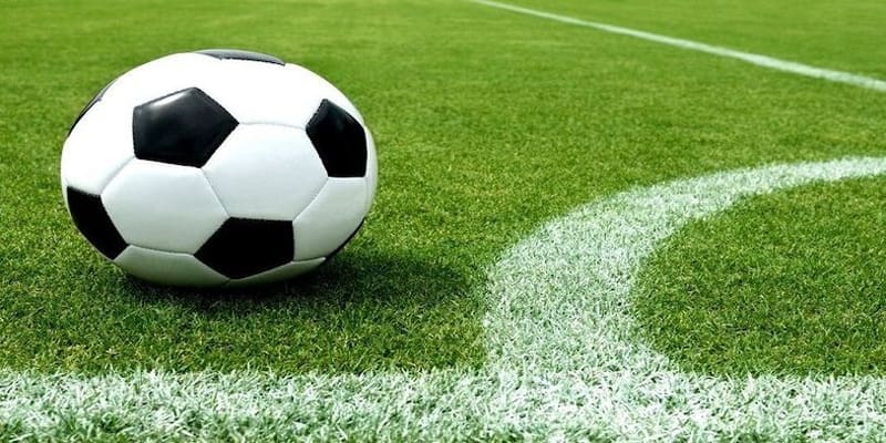 Giới thiệu về các loại kèo thường gặp tại sân chơi thể thao nhà cái